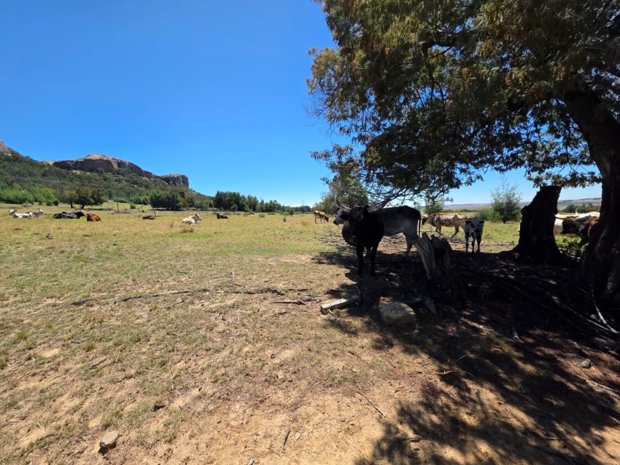 8 Bedroom Property for Sale in Bethlehem Rural Free State